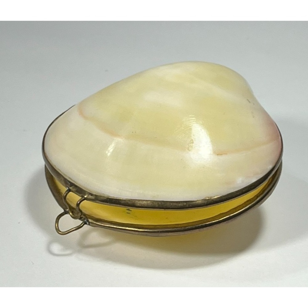 Vintage Polished Natural Clam Shell Coin Purse / Hinged Brass Trinket Box